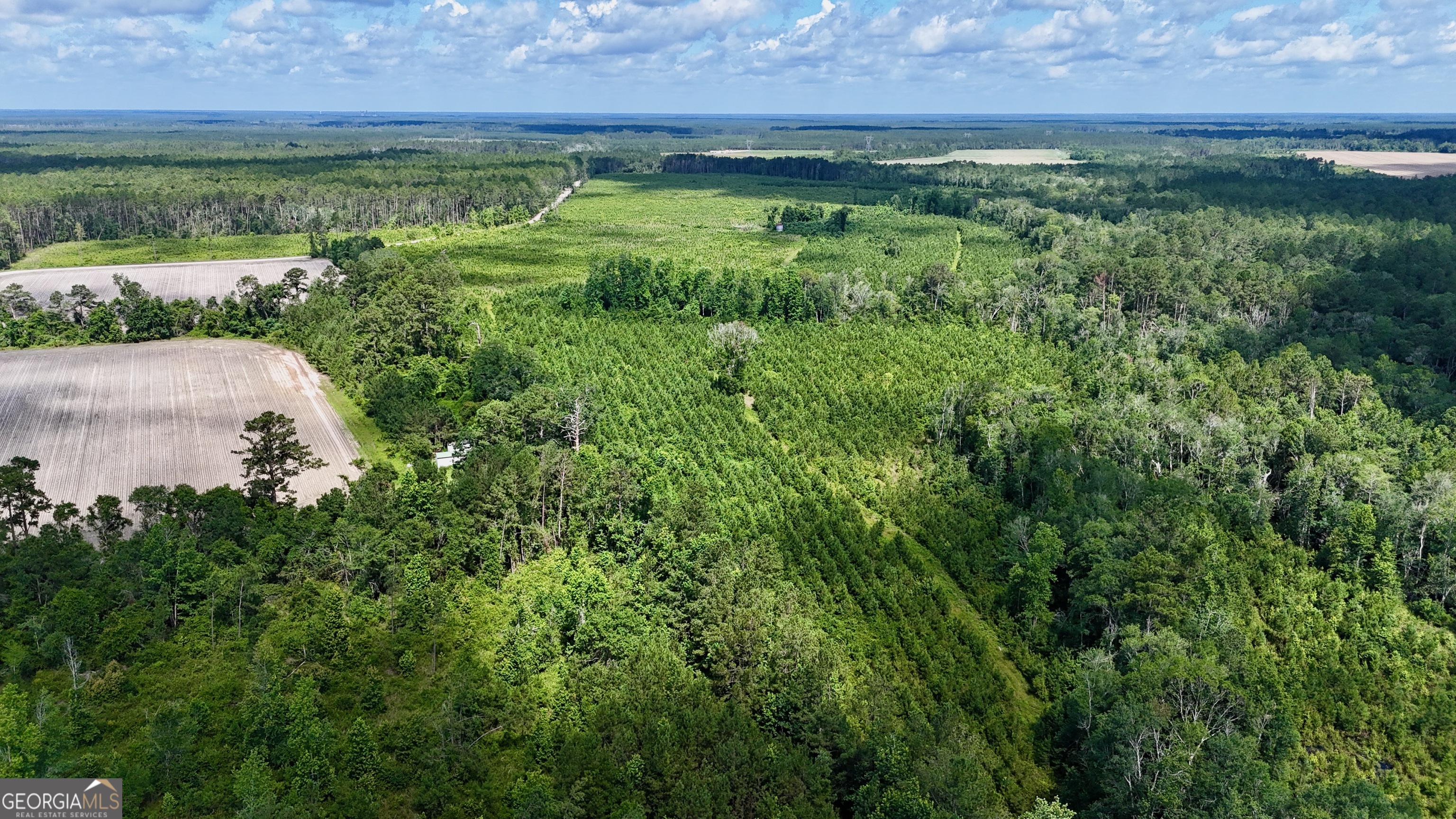 an aerial view of residential house with outdoor space