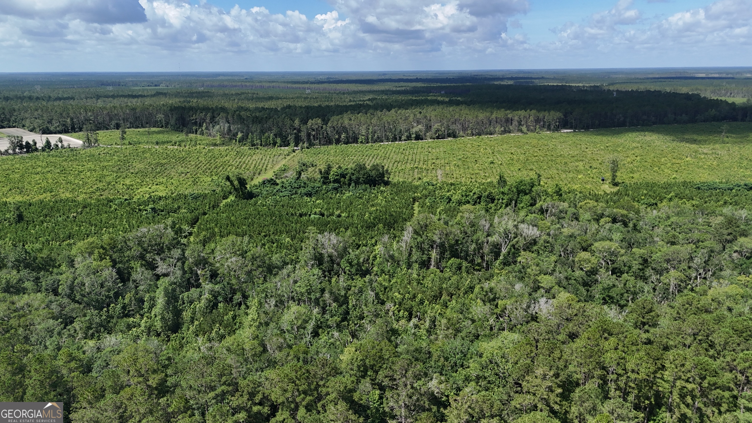 0 Bennett Mill Pond Road Odum, GA 31555 - Photo 3 of 10 a view of a lush green field