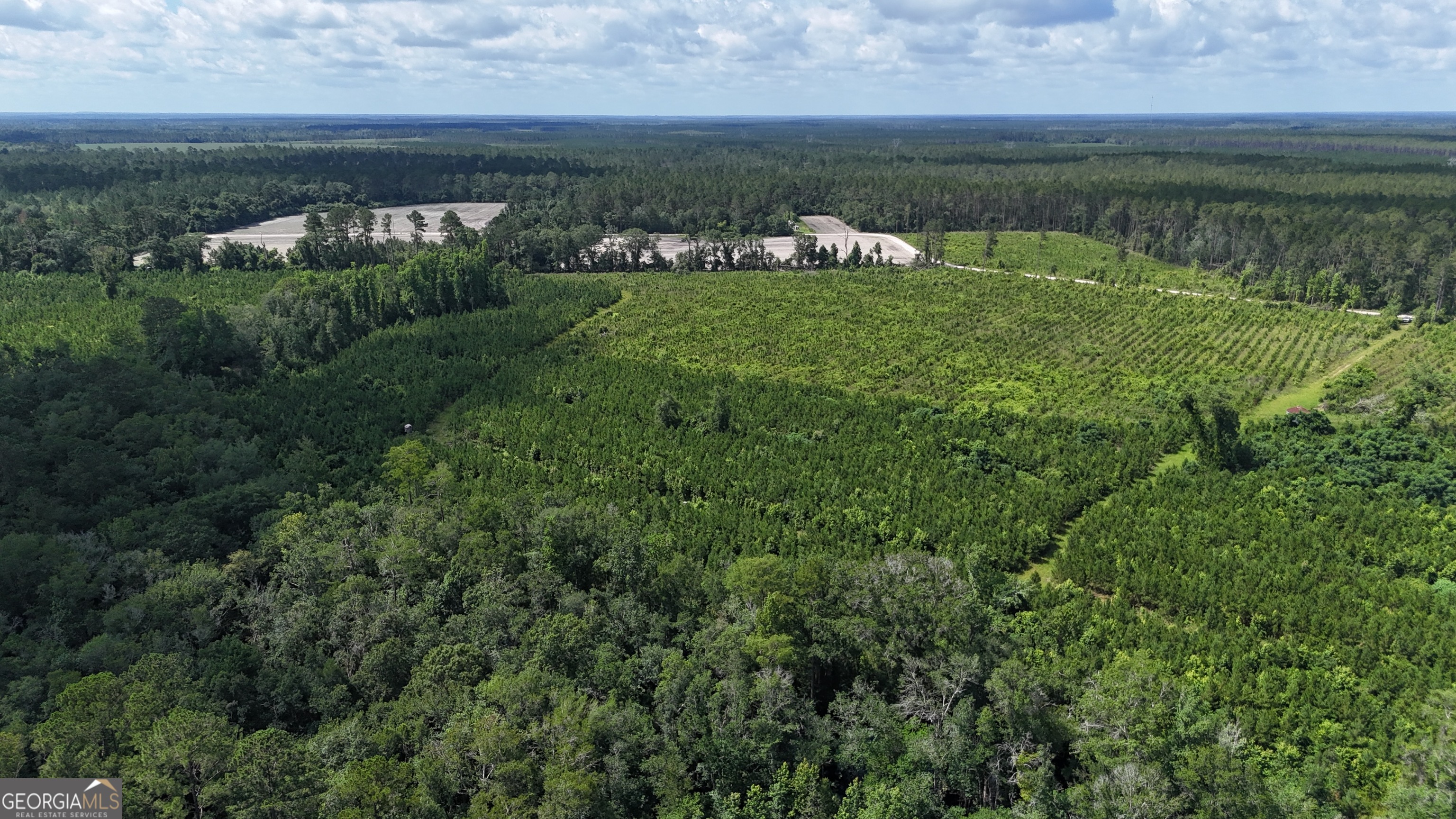 0 Bennett Mill Pond Road Odum, GA 31555 - Photo 6 of 10 a view of a lake with a yard