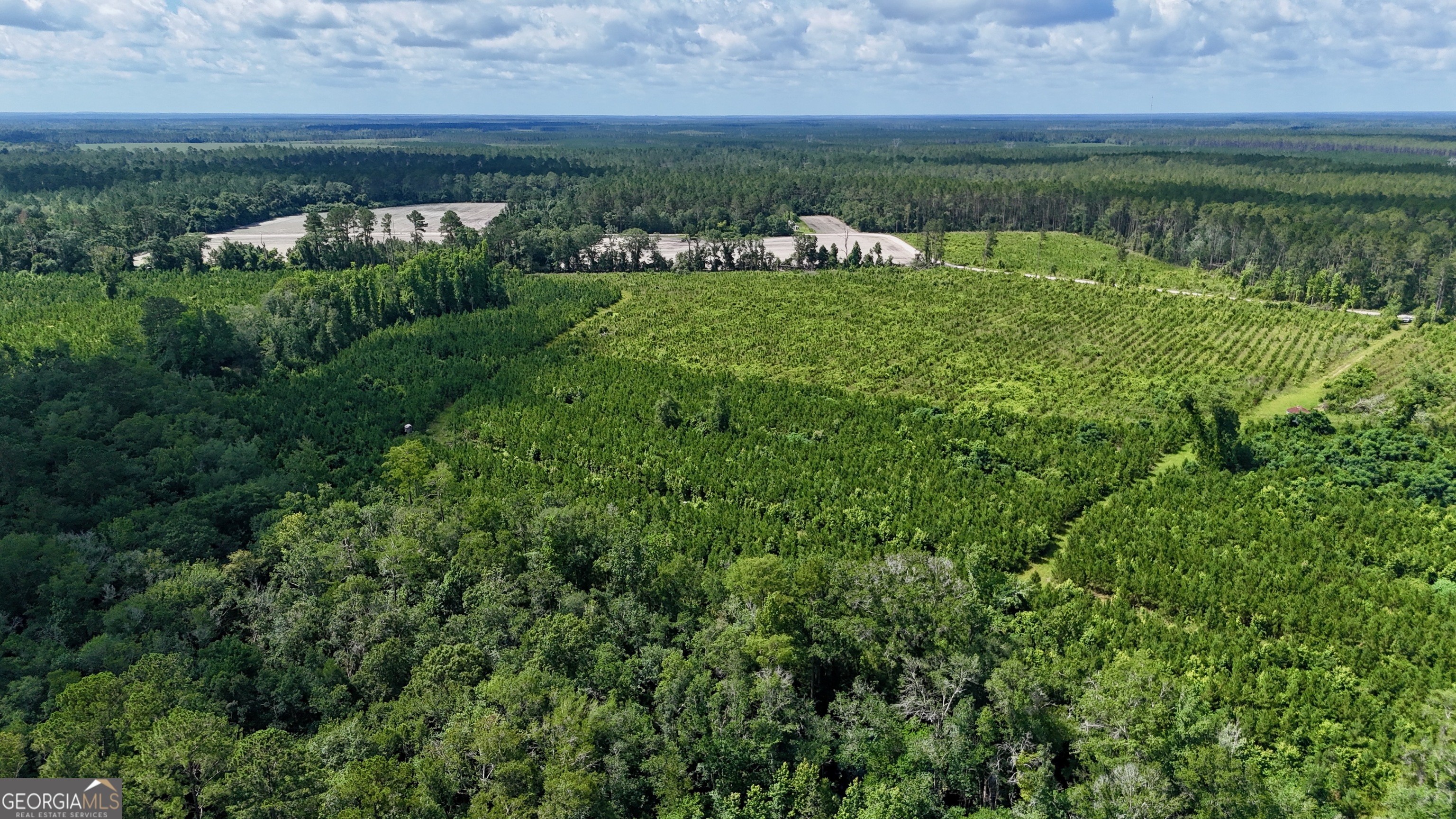 0 Bennett Mill Pond Road Odum, GA 31555 - Photo 7 of 10 a view of a lake with a big yard