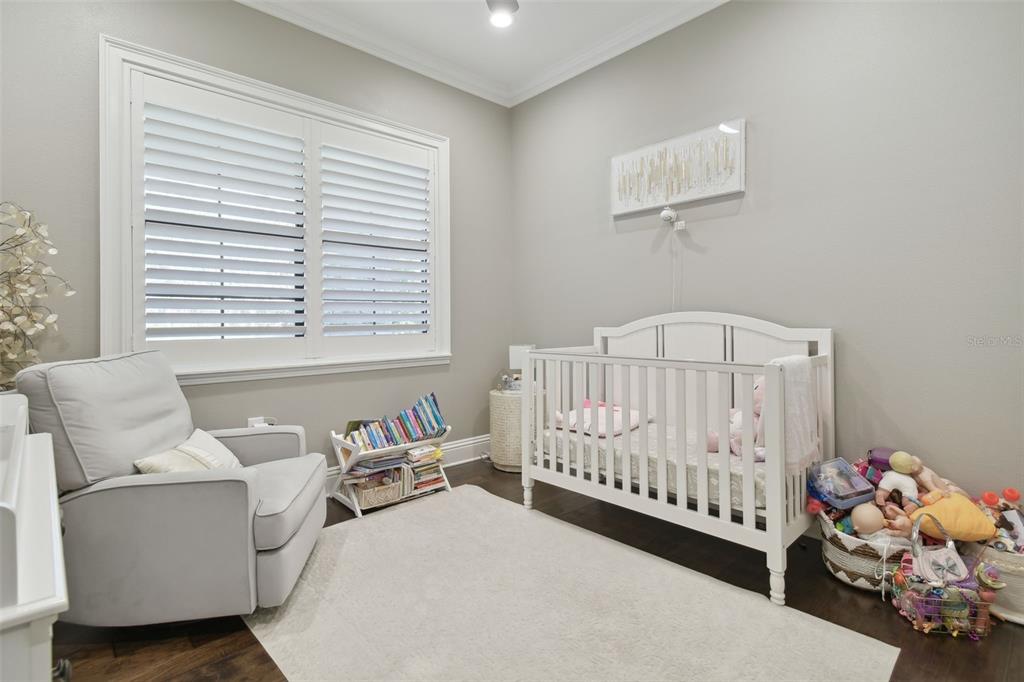 3016 Riders Pass Odessa, FL 33556 - Photo 6 of 89