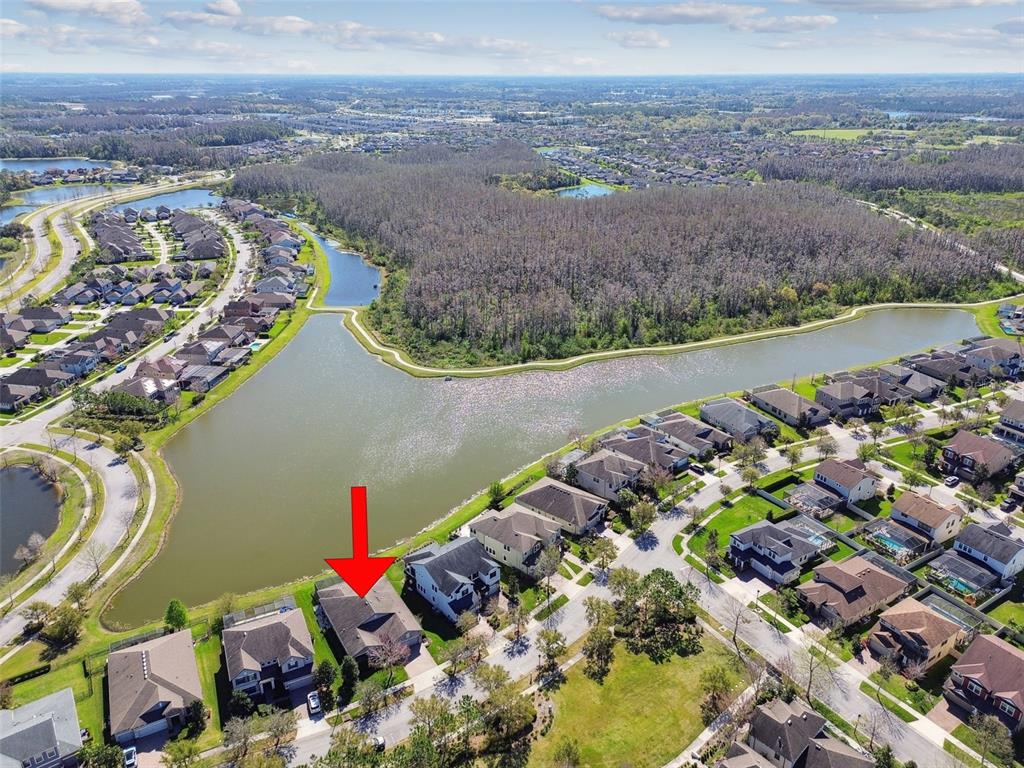 3016 Riders Pass Odessa, FL 33556 - Photo 69 of 89