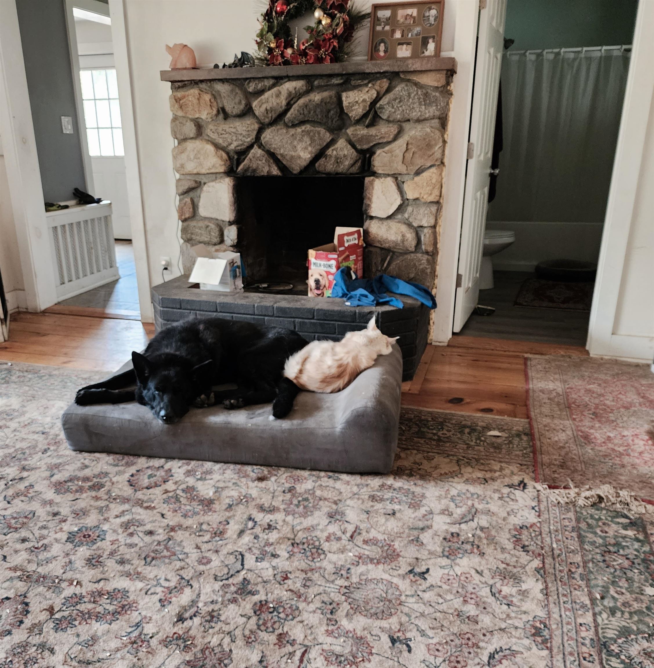 126 Simeon Dean Road Shaftsbury, VT 05262 - Photo 31 of 59