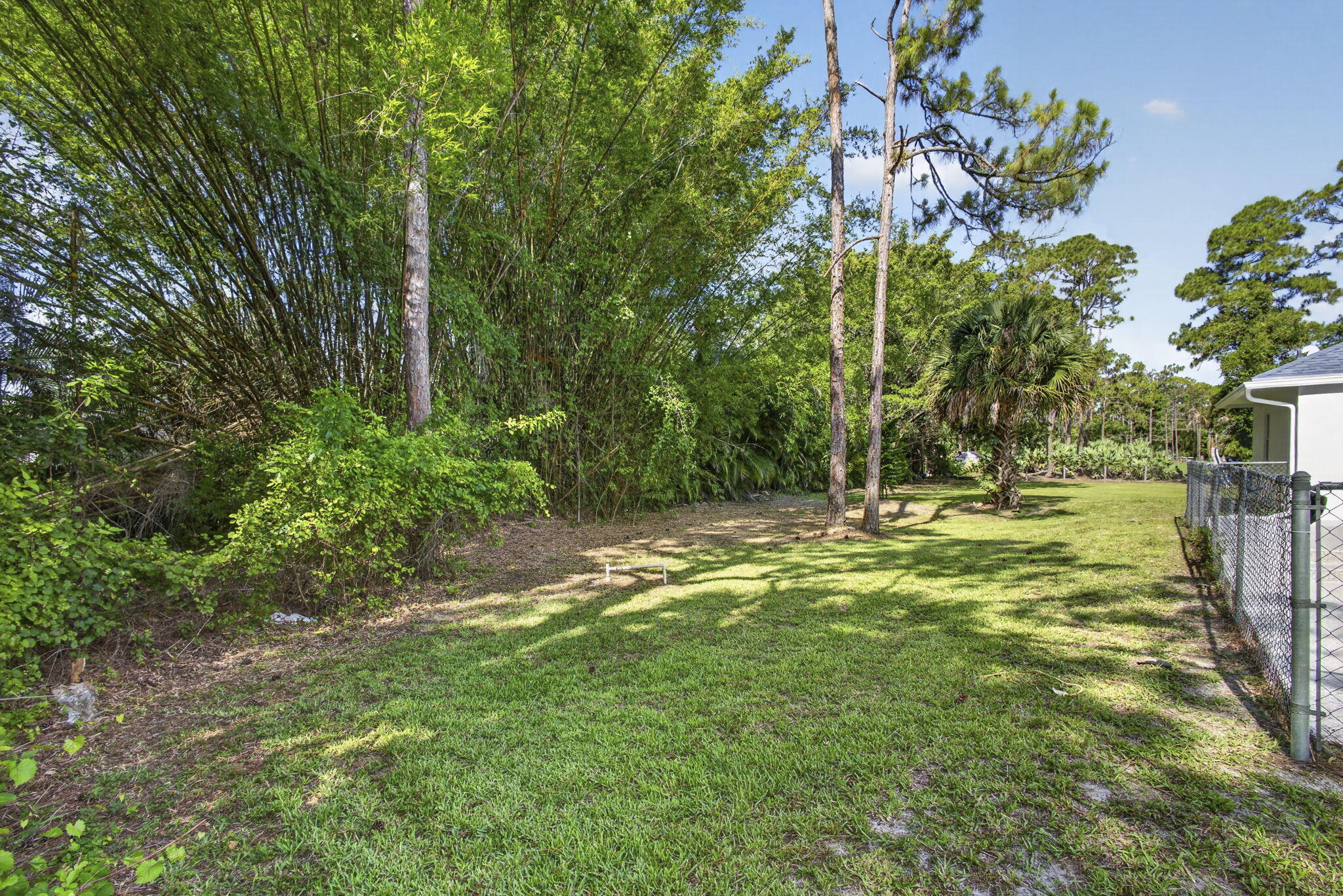 16526 78th Road North The Acreage, FL 33470 - Photo 55 of 63 55-web-or-mls-BS1A8721