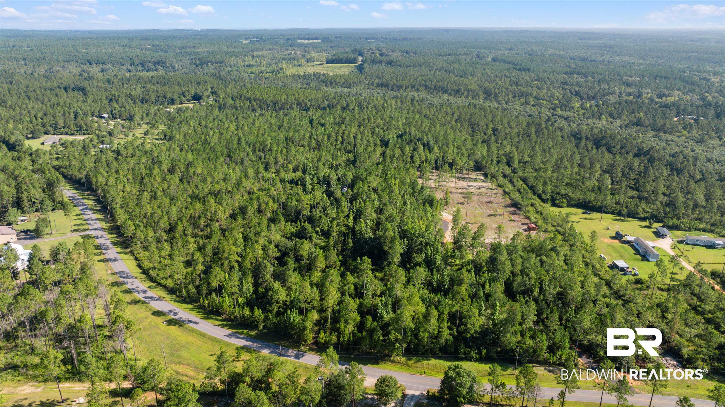 50450 Hollingsworth Road Bay Minette, AL 36507 - Photo 5 of 9