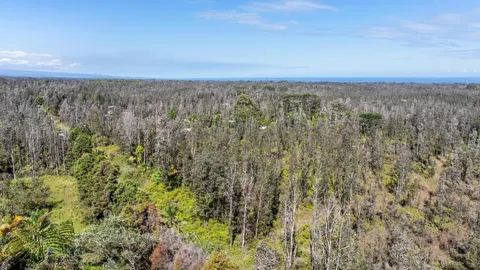 a view of city and green space