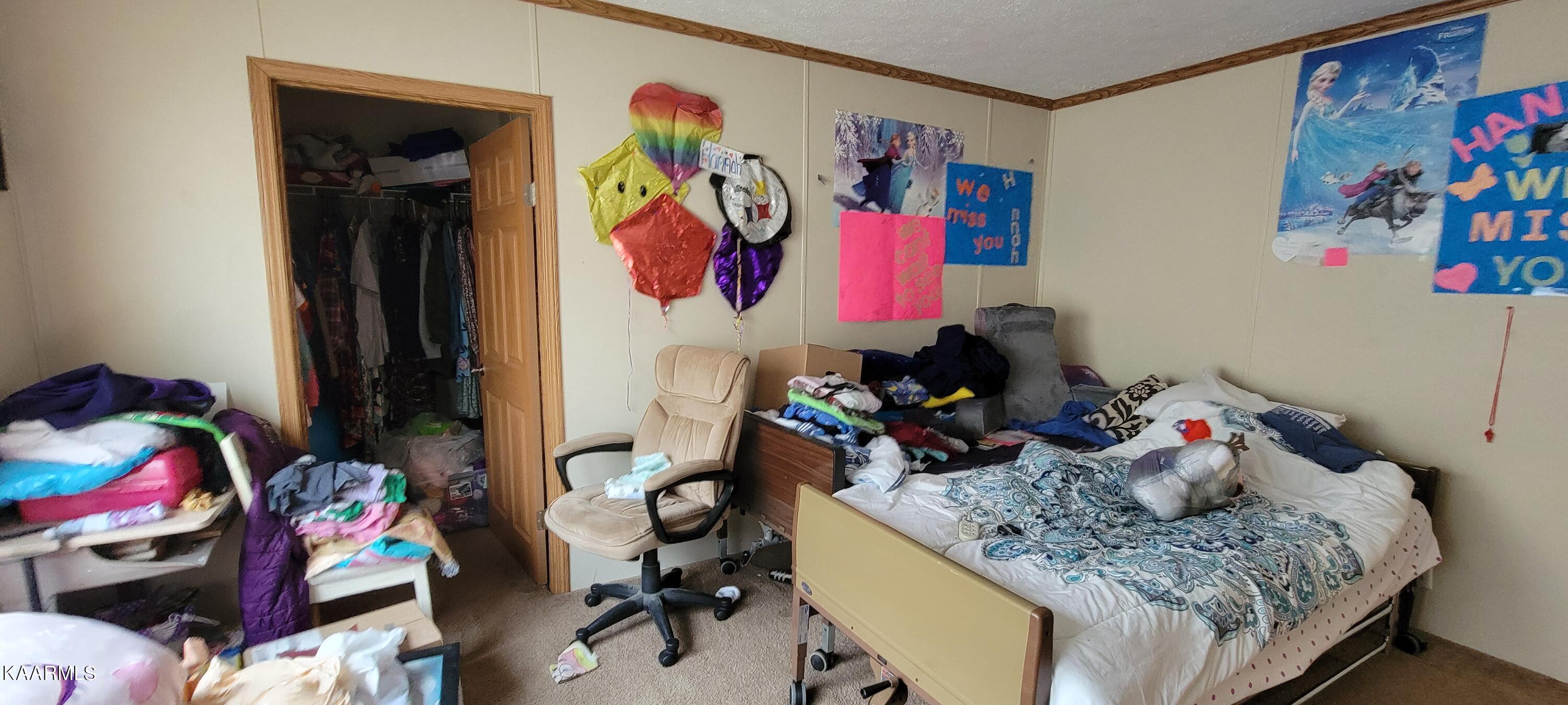 146 Glenn Bailey Road Ewing, VA 24248 - Photo 16 of 24 20230716_160554
