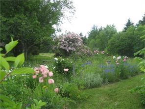 10 Dillon Road Hancock, ME 04640 - Photo 12 of 15 Amazingly beautiful front yard...