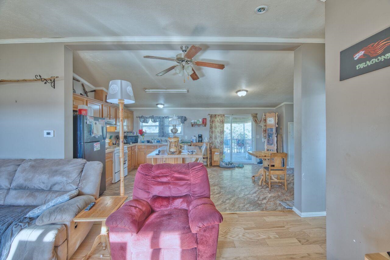 3932 Hwy 100 Aurora Mn 55705 Aurora, MN 55705 - Photo 9 of 44 Living room with light wood-type flooring, ceiling fan, and a textured ceiling