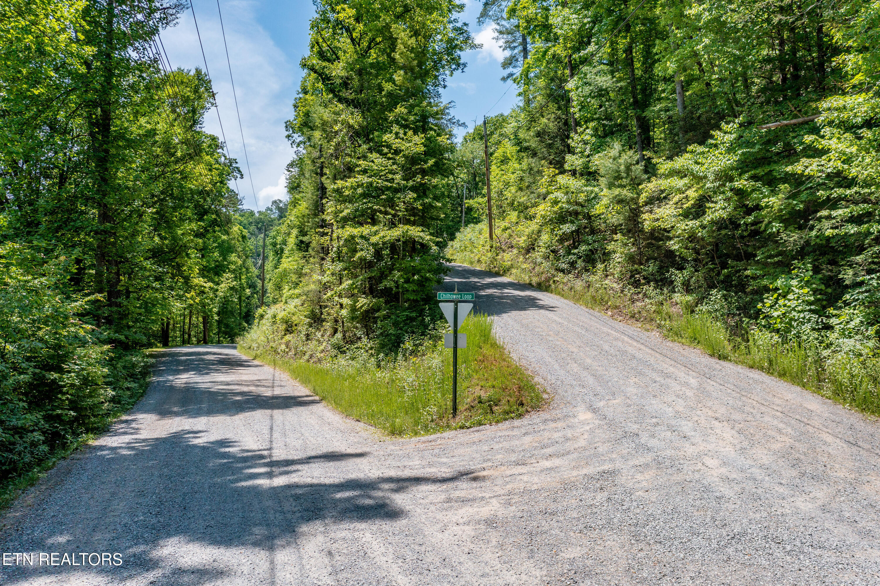 34 Chilhowee Loop Walland, TN 37886 - Photo 1 of 19 ChilhoweeLoop-1