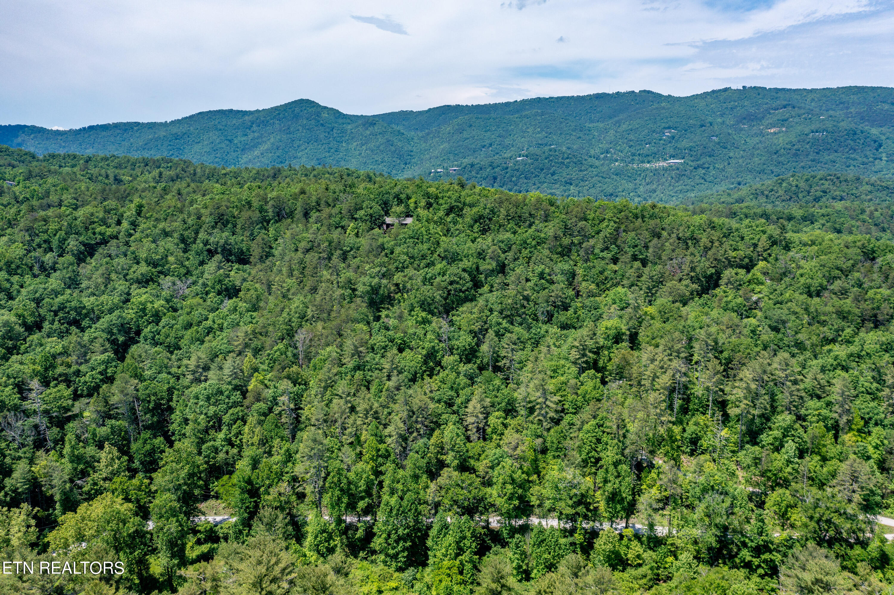 34 Chilhowee Loop Walland, TN 37886 - Photo 11 of 19 ChilhoweeLoop-11