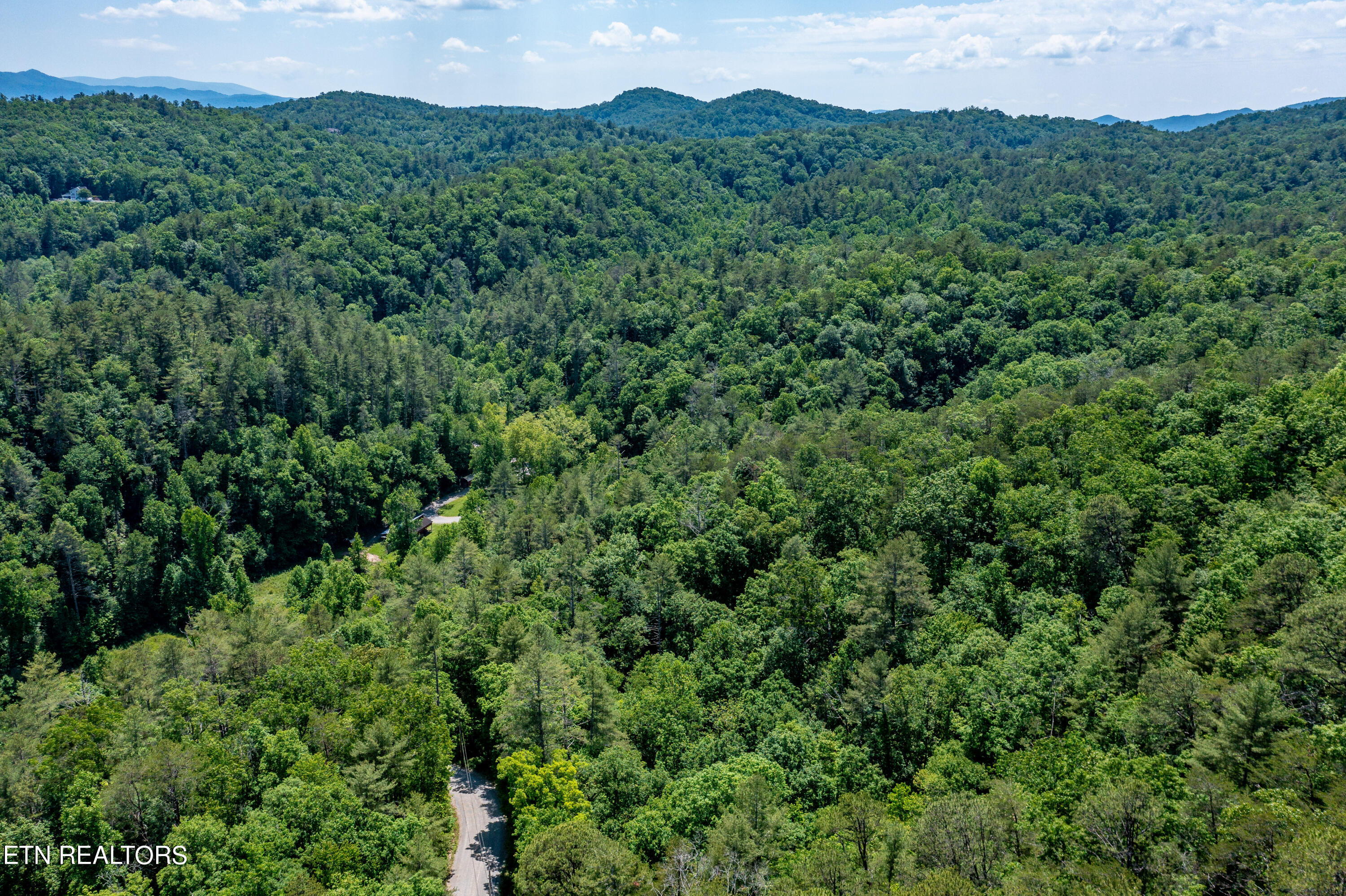 34 Chilhowee Loop Walland, TN 37886 - Photo 15 of 19 ChilhoweeLoop-21