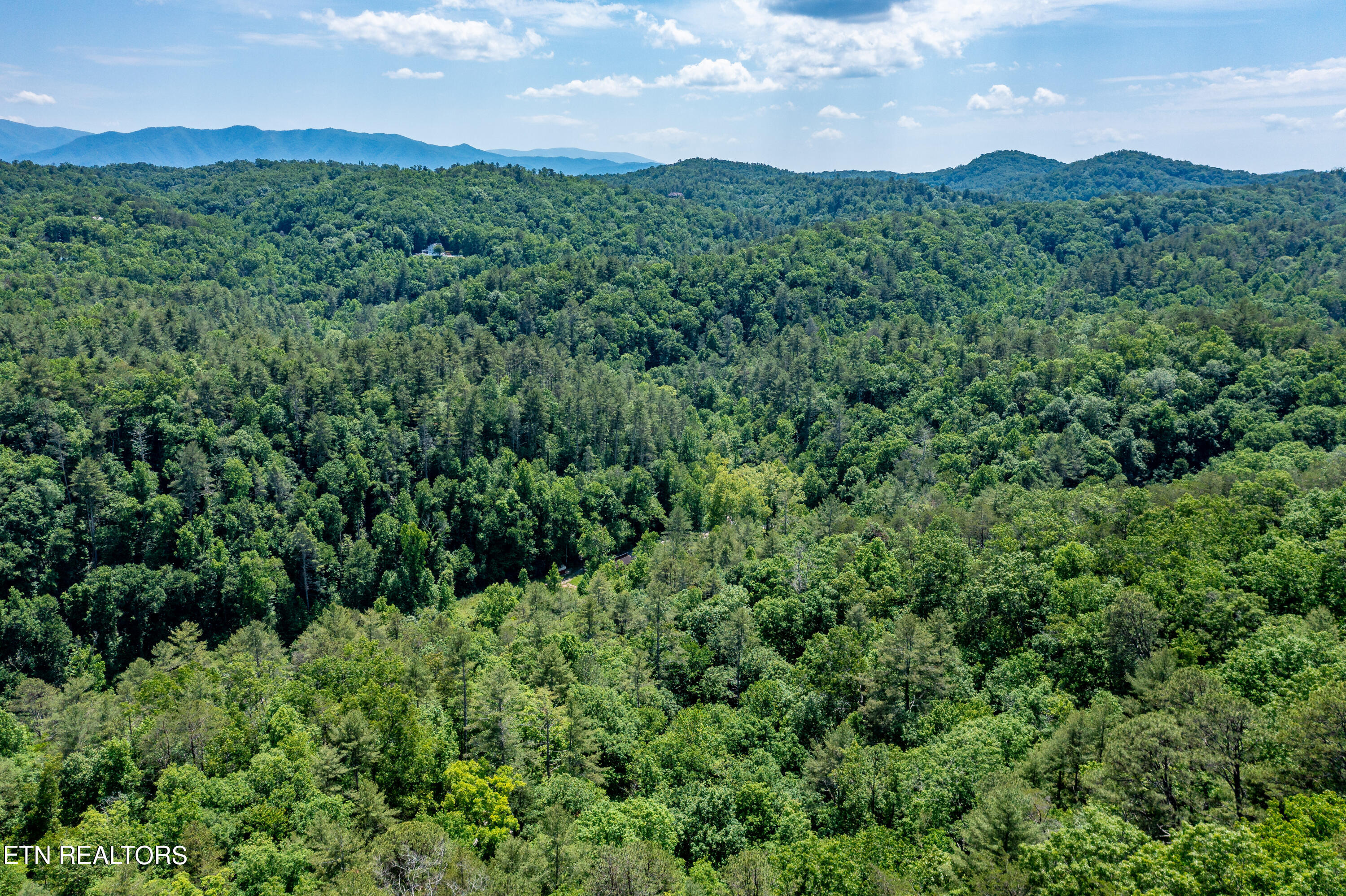 34 Chilhowee Loop Walland, TN 37886 - Photo 16 of 19 ChilhoweeLoop-22