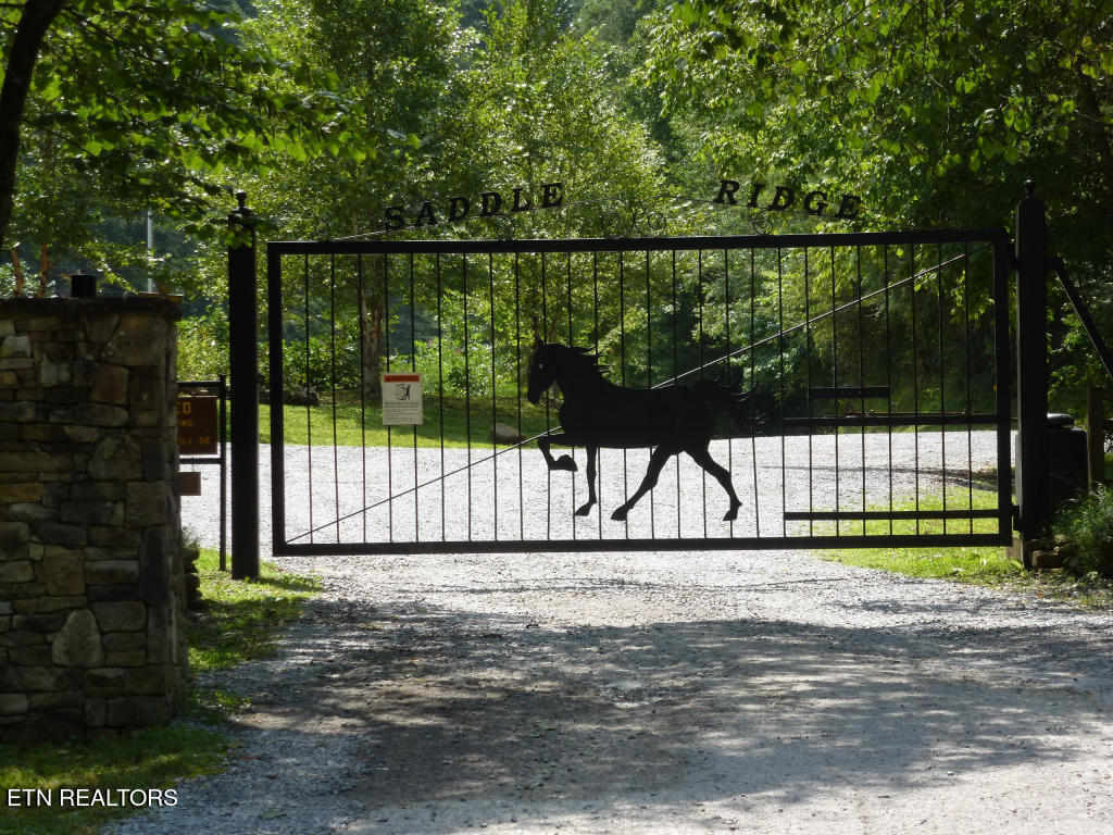 34 Chilhowee Loop Walland, TN 37886 - Photo 2 of 19 Pic