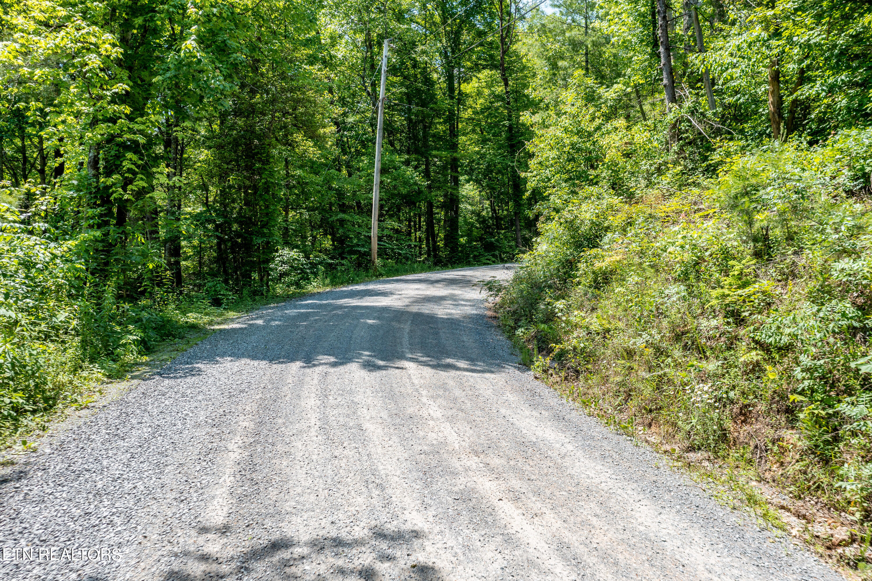 34 Chilhowee Loop Walland, TN 37886 - Photo 5 of 19 ChilhoweeLoop-3