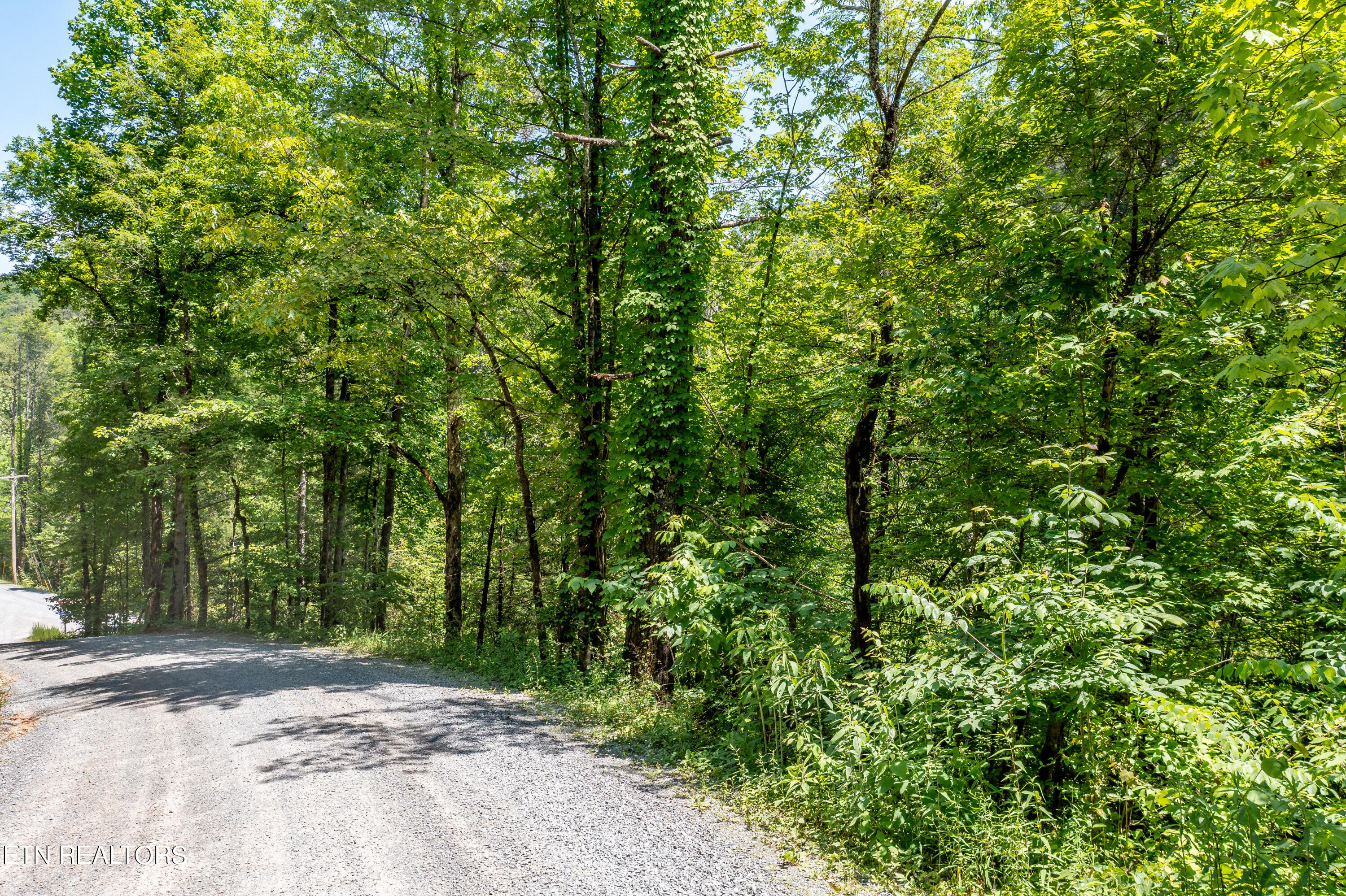 34 Chilhowee Loop Walland, TN 37886 - Photo 7 of 19 ChilhoweeLoop-5