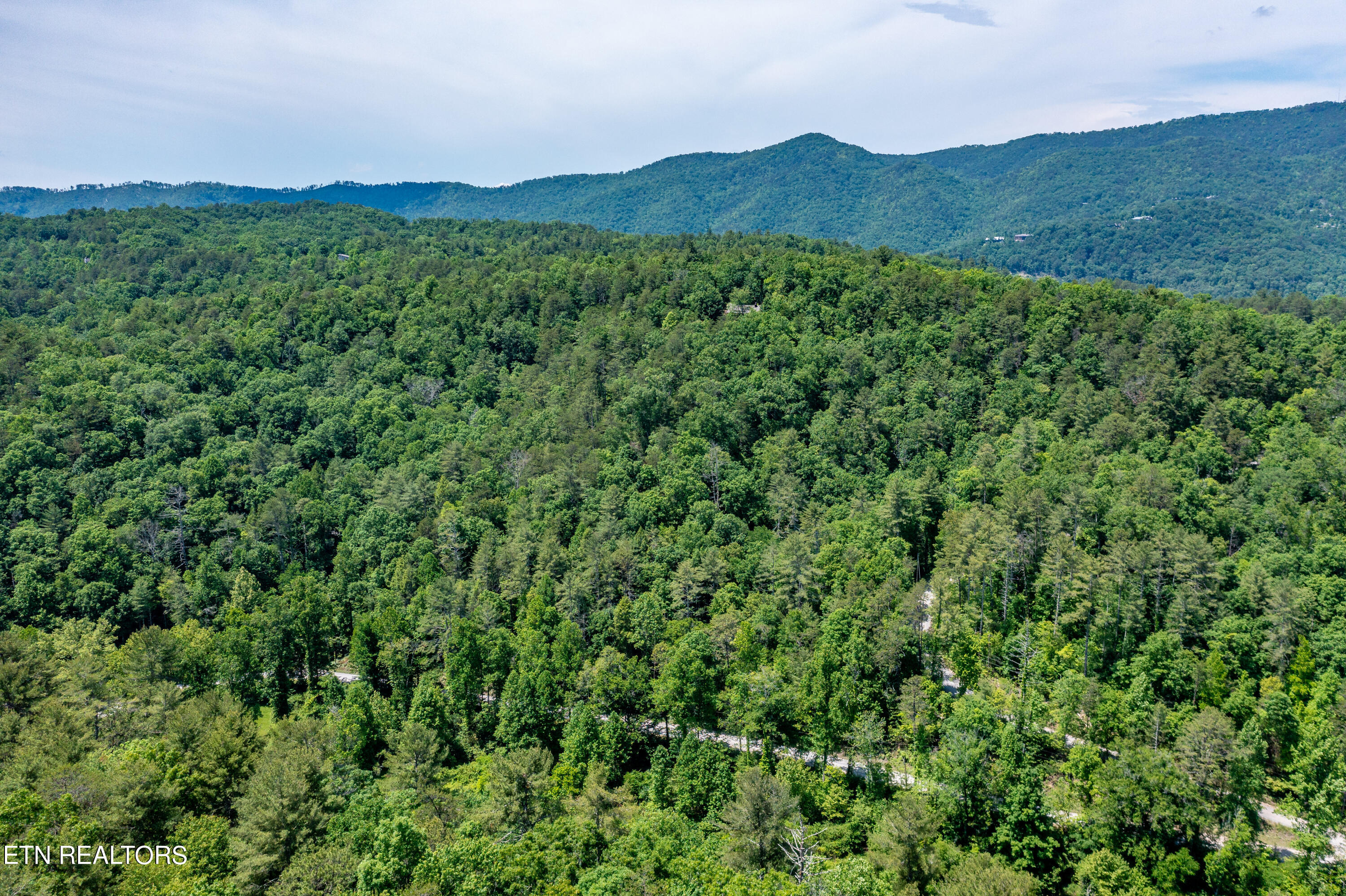 34 Chilhowee Loop Walland, TN 37886 - Photo 9 of 19 ChilhoweeLoop-10