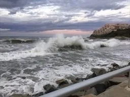 a view of a dry yard with wooden fence