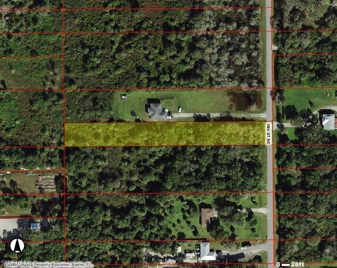18th Street Northeast Naples, FL 34120 - Photo 2 of 2 a view of a green yard with large trees