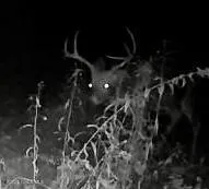 $139,000 | L4.8 Burch Road, Granville, NY 12832