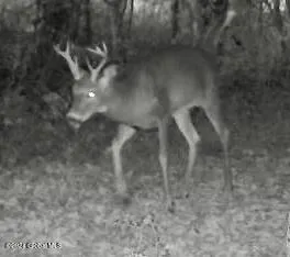 $139,000 | L4.8 Burch Road, Granville, NY 12832