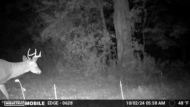 $139,000 | L4.8 Burch Road, Granville, NY 12832