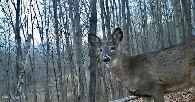 $139,000 | L4.8 Burch Road, Granville, NY 12832