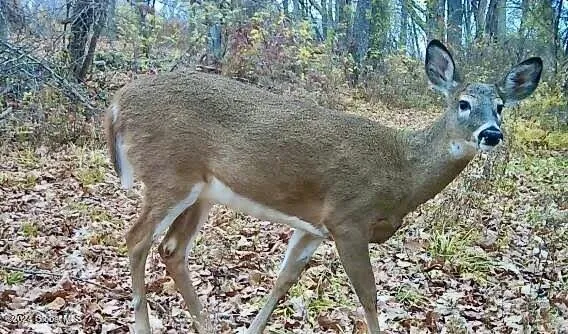 $139,000 | L4.8 Burch Road, Granville, NY 12832