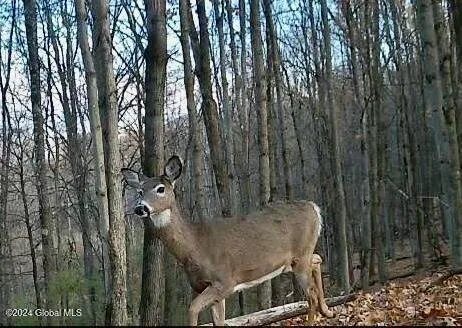 $139,000 | L4.8 Burch Road, Granville, NY 12832