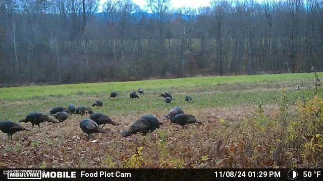 $139,000 | L4.8 Burch Road, Granville, NY 12832