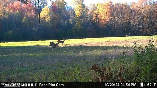 $139,000 | L4.8 Burch Road, Granville, NY 12832