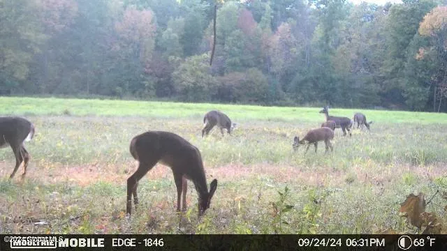 $139,000 | L4.8 Burch Road, Granville, NY 12832