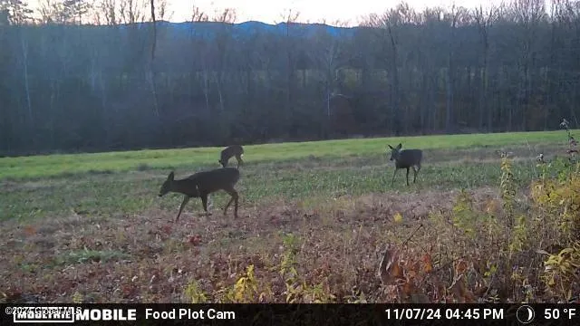 $139,000 | L4.8 Burch Road, Granville, NY 12832