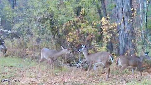 $139,000 | L4.8 Burch Road, Granville, NY 12832