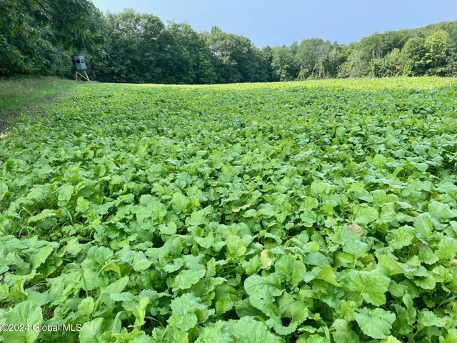 $139,000 | L4.8 Burch Road, Granville, NY 12832