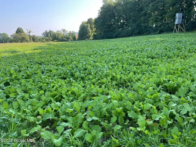 $139,000 | L4.8 Burch Road, Granville, NY 12832