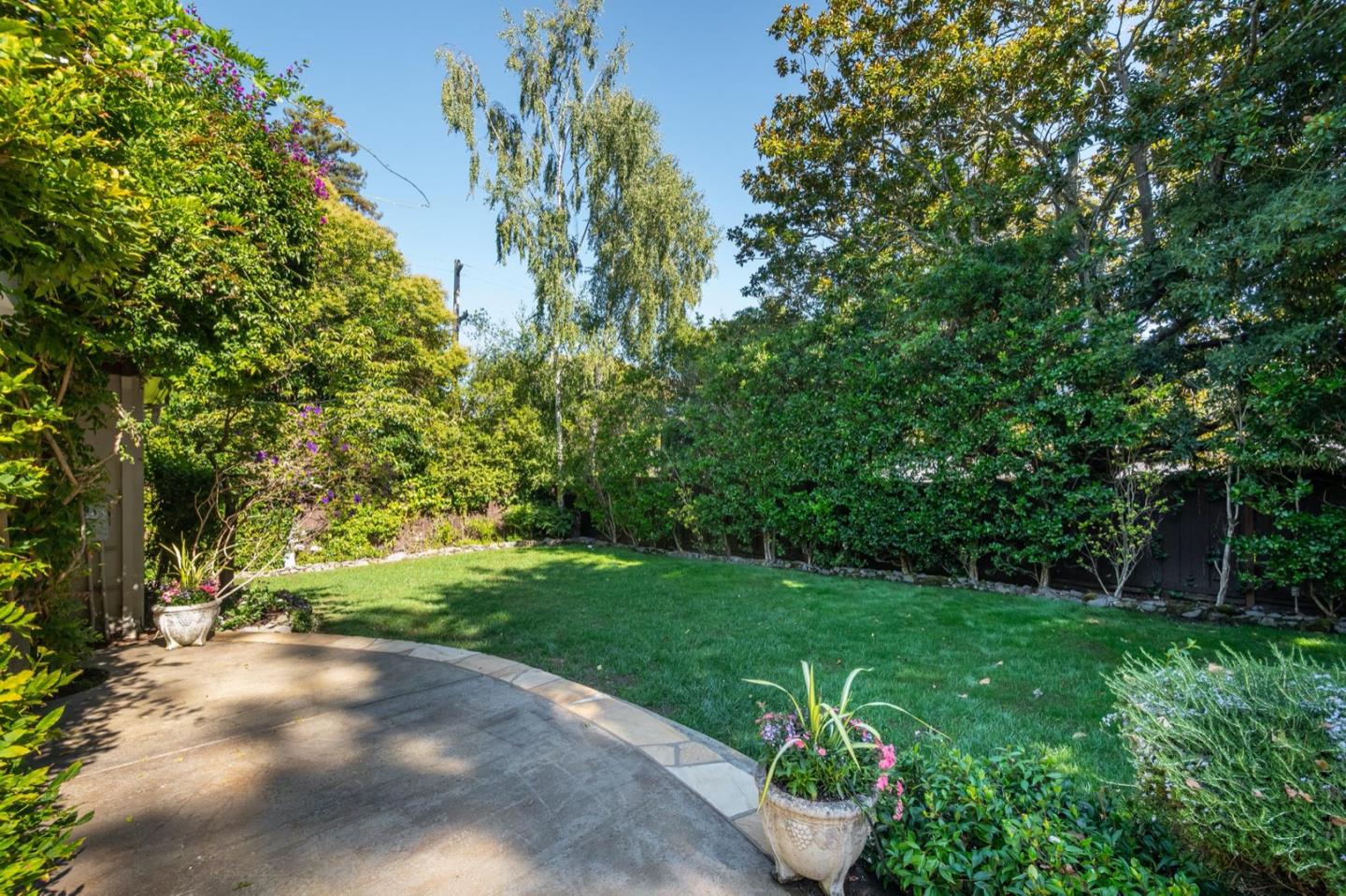 521 Roehampton Road Hillsborough, CA 94010 - Photo 47 of 51 a view of a garden with a tree