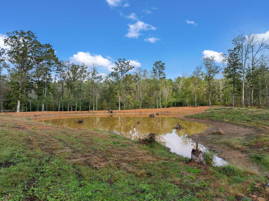 954 Evans Road Jasper, AL 35501 - Photo 14 of 19 DJI_20251021144357_0060_D