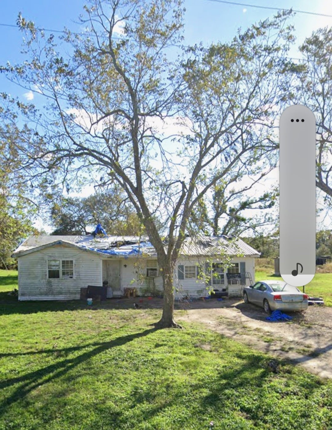 885 Bullock Road Francitas, TX 77961 - Photo 15 of 15 Property view highlighting mature trees and open yard space.