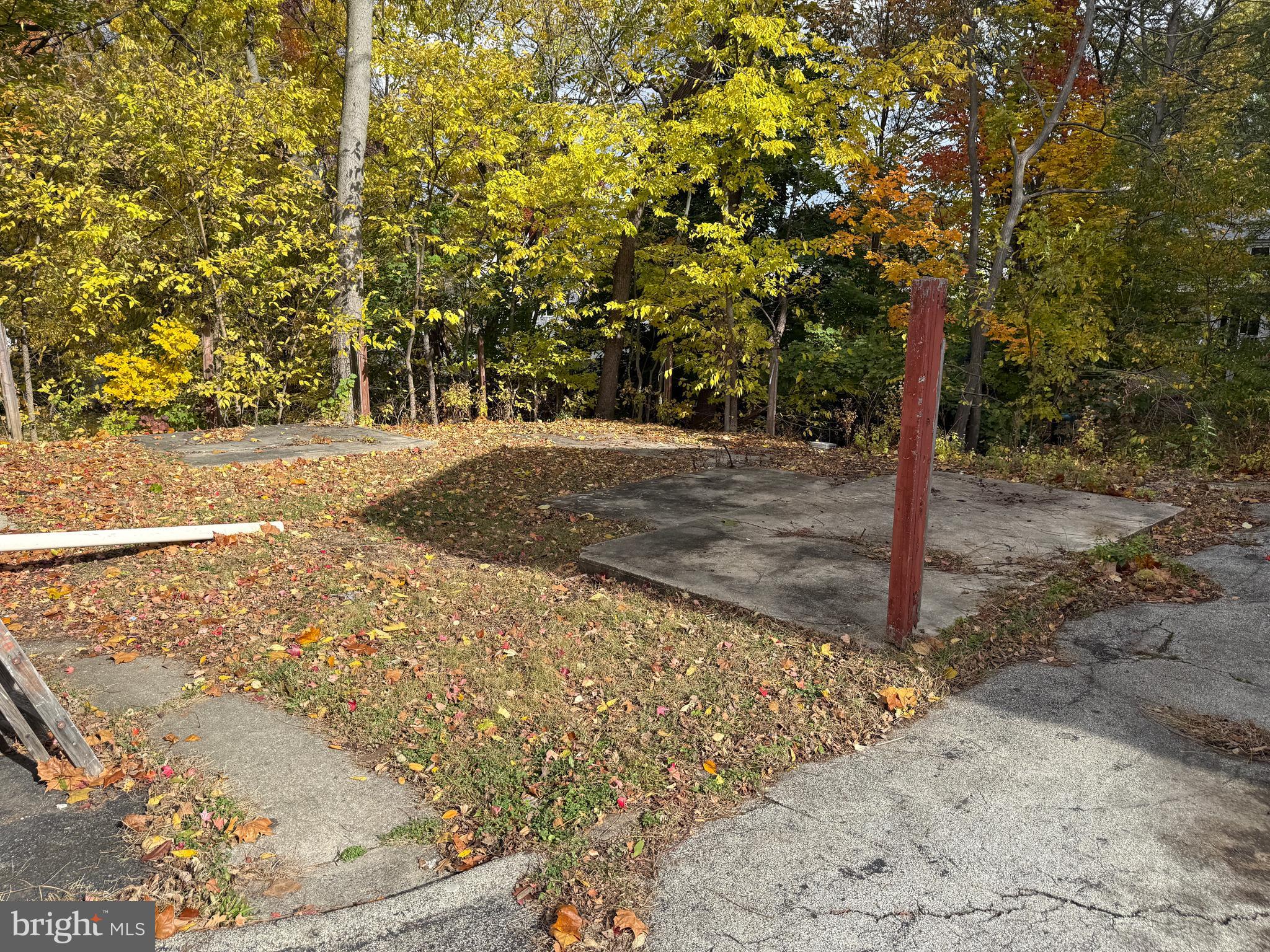328 Hutchinson Terrace, Unit A Holmes, PA 19043 - Photo 27 of 27 a view of a yard with large trees