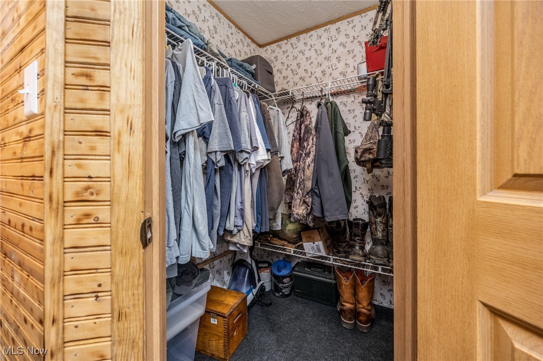 1788 Rosenbush Road Newport, OH 45768 - Photo 23 of 34 Walk in closet featuring carpet flooring