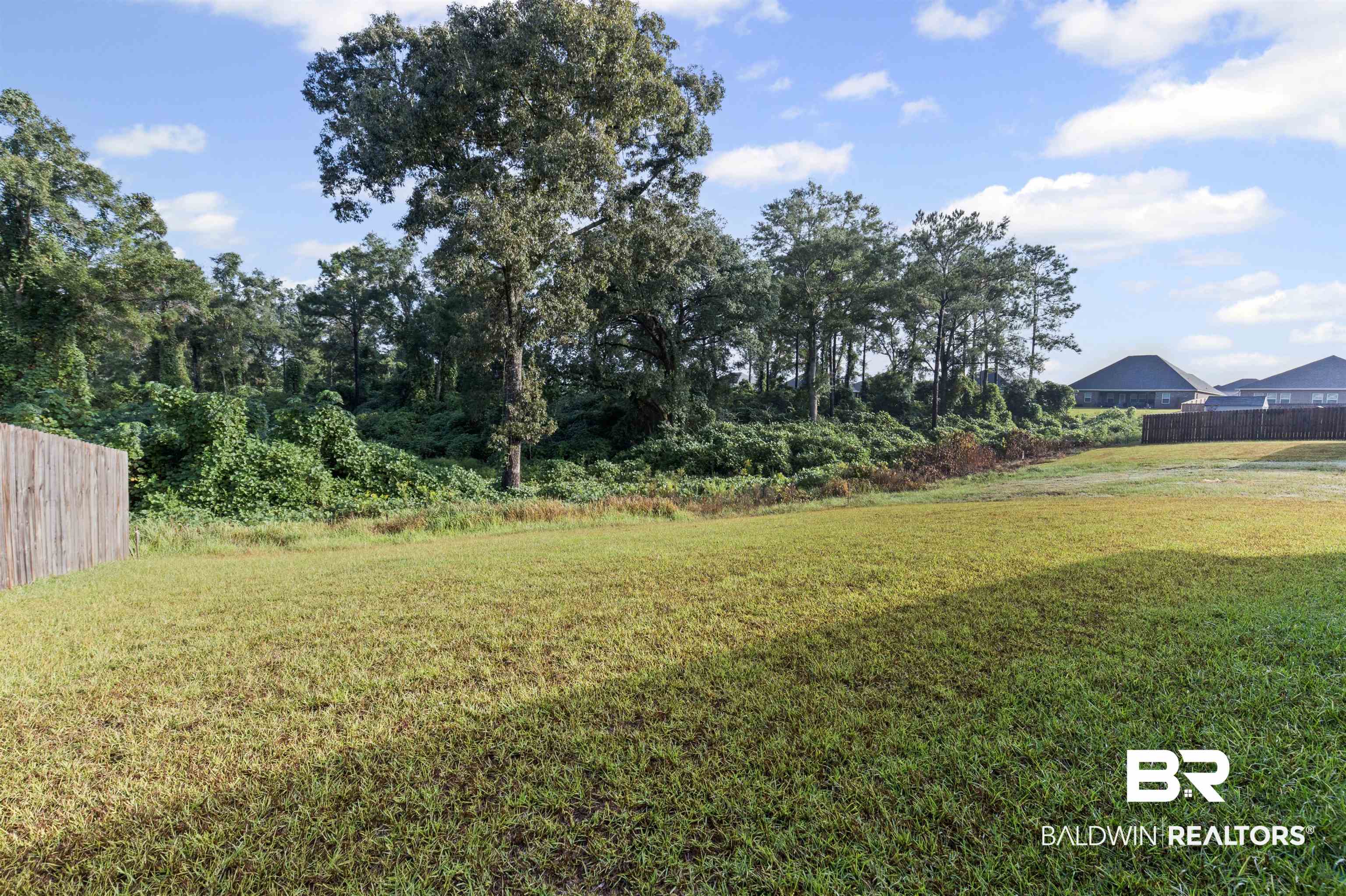 10564 Heirloom Road South Mobile, AL 36608 - Photo 23 of 24 View of yard