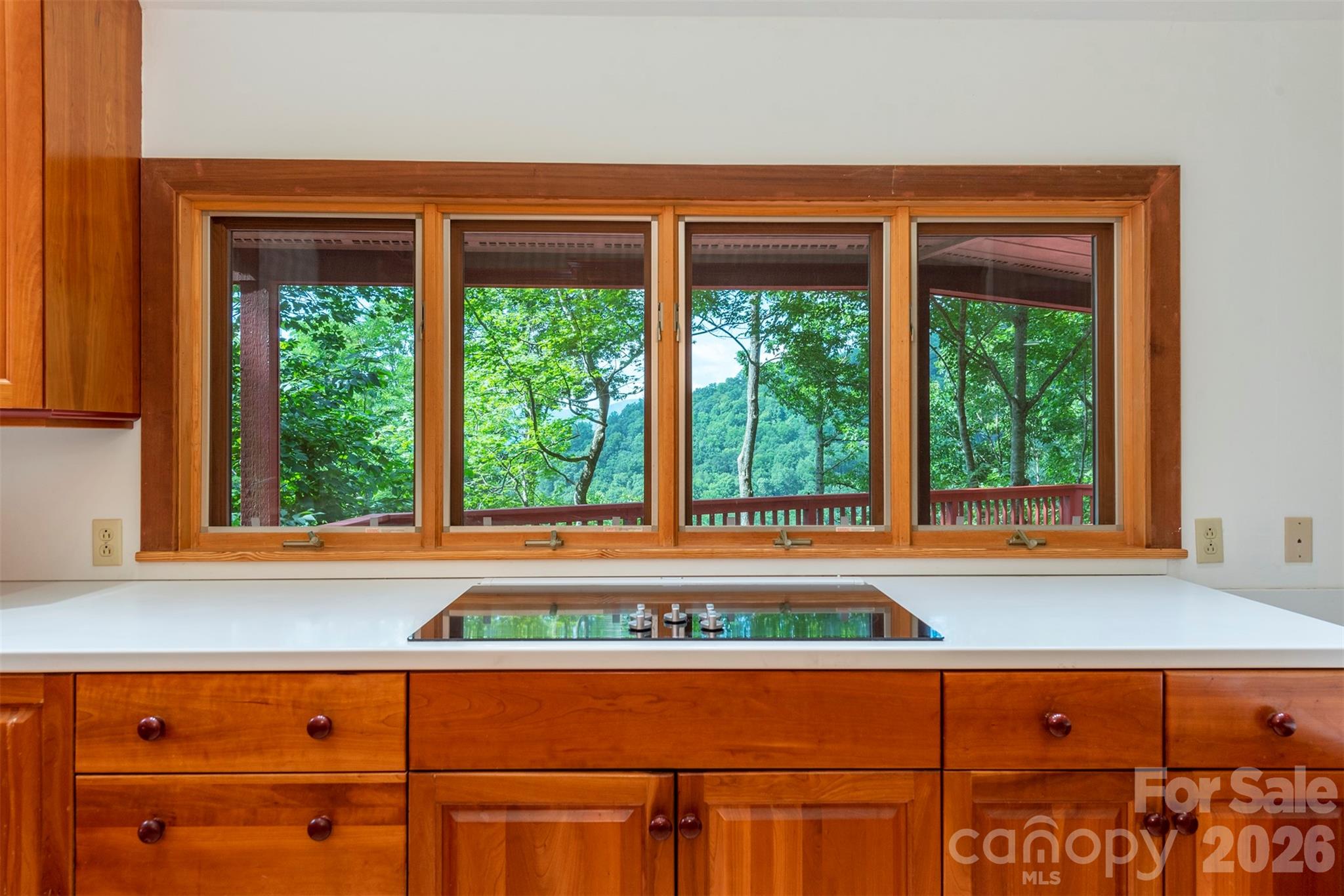 7 Winding Poplar Road Black Mountain, NC 28711 - Photo 16 of 48 a view of wooden floor and window in a room