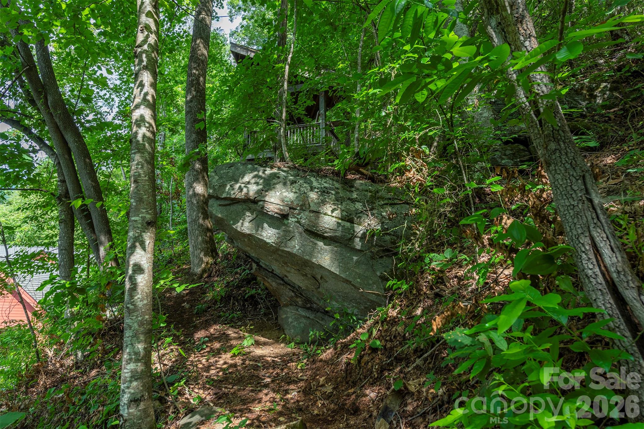 7 Winding Poplar Road Black Mountain, NC 28711 - Photo 43 of 48 a view of a forest