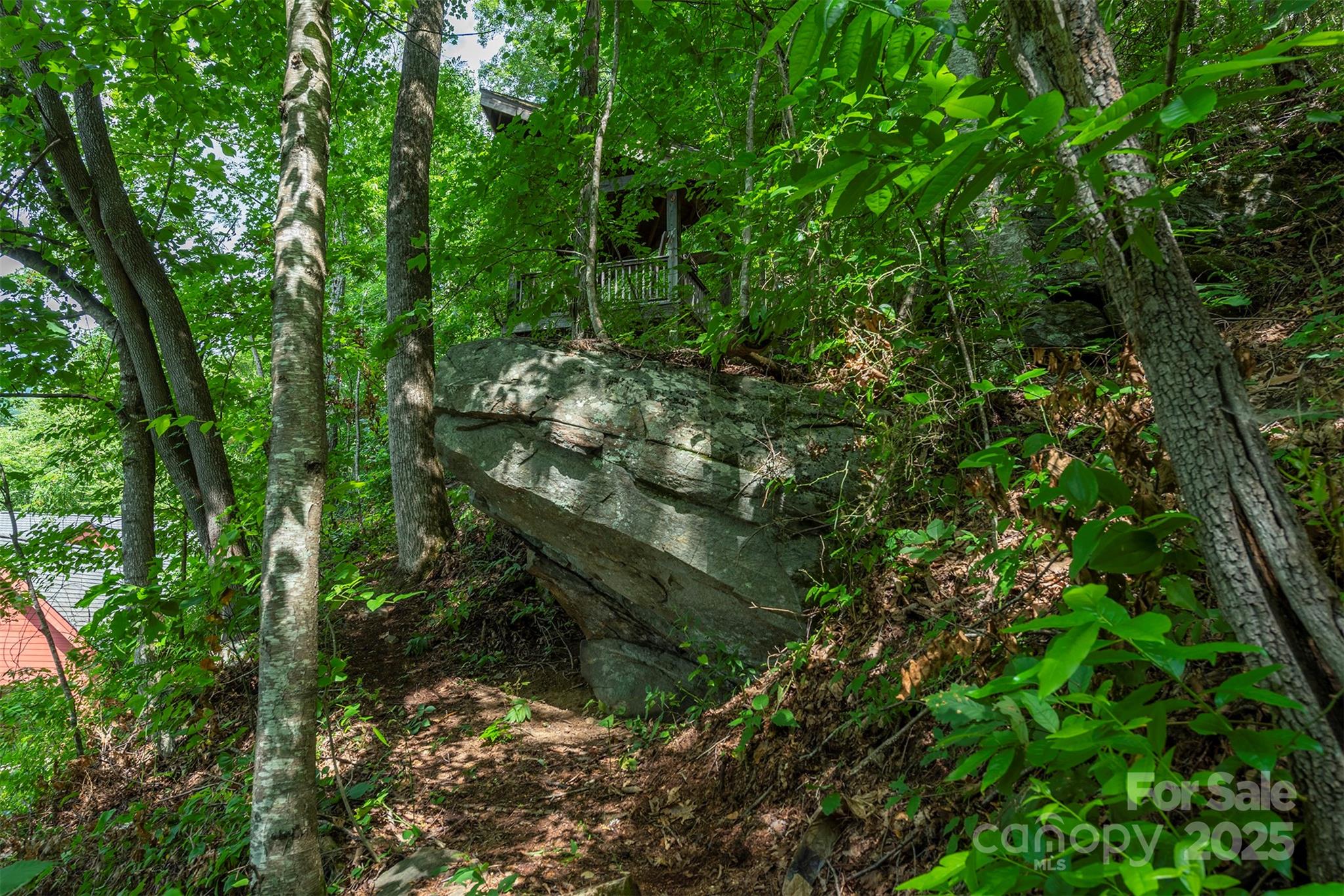 7 Winding Poplar Road Black Mountain, NC 28711 - Photo 44 of 48 a view of a forest