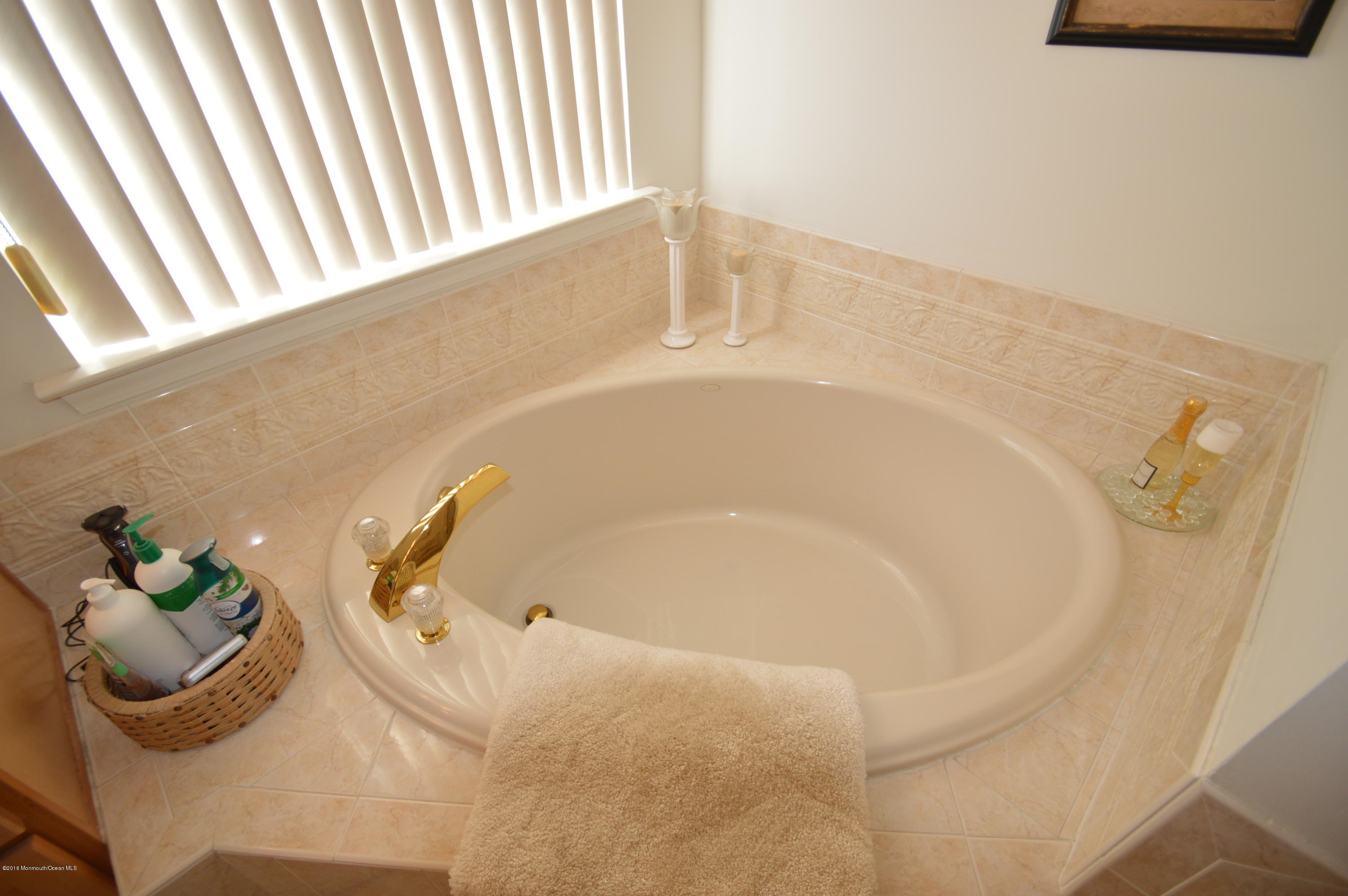 96 Clear Lake Road Whiting, NJ 08759 - Photo 31 of 43 DSC_0037