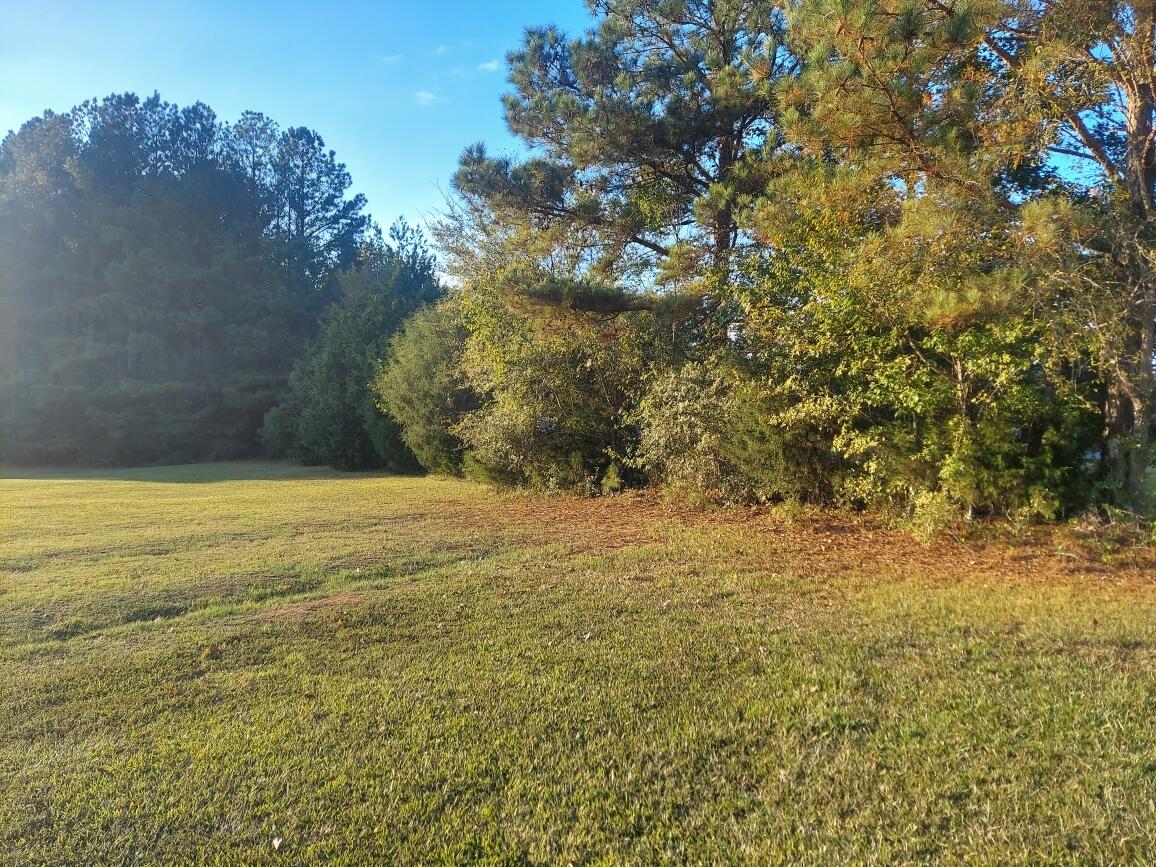 0 Clary Cut Road Harlem, GA 30814 - Photo 1 of 4 Clary 4
