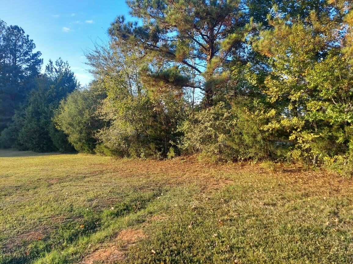 0 Clary Cut Road Harlem, GA 30814 - Photo 3 of 4 Clary 2