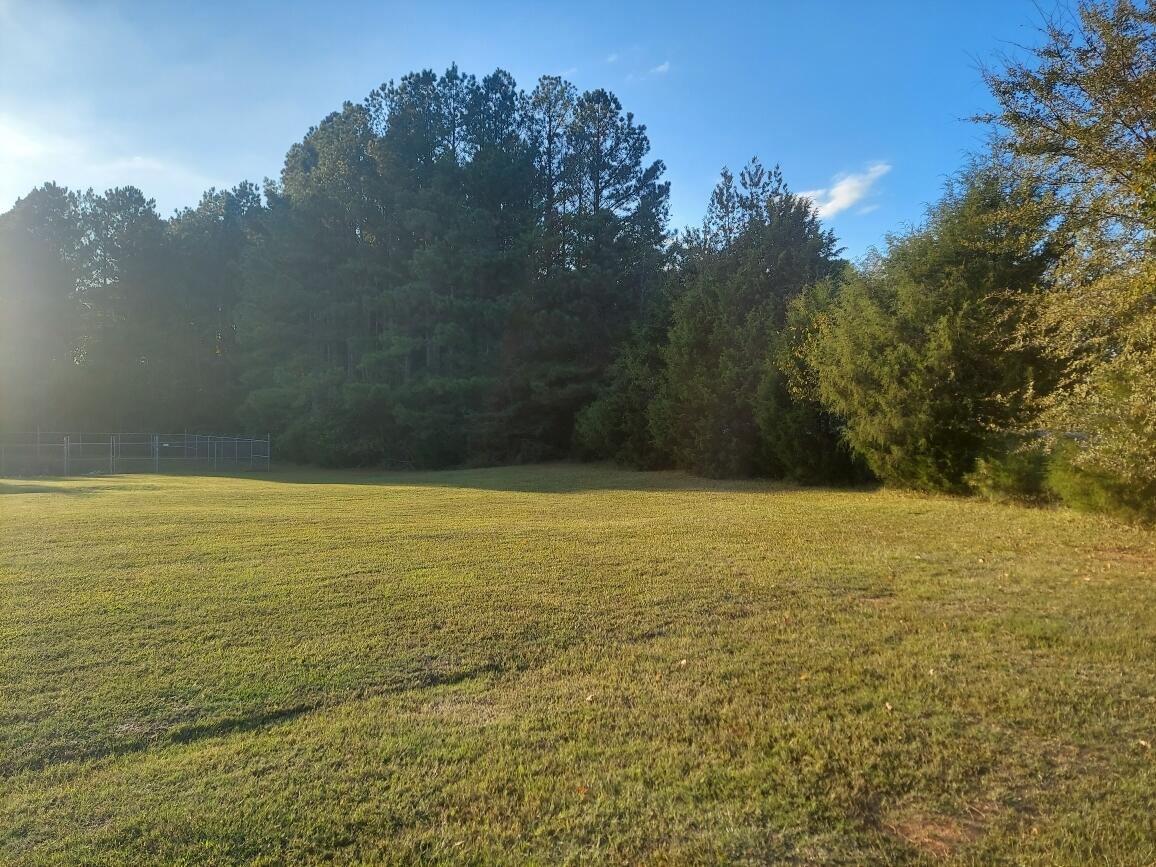 0 Clary Cut Road Harlem, GA 30814 - Photo 4 of 4 Clary 1