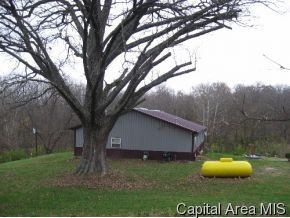 1468 Rolf Lane Bluffs, IL 62621 - Photo 10 of 12